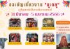 ขอเชิญเที่ยวงาน มูเตลู (Mutelu) ขอเชิญเที่ยวงาน มูเตลู (Mutelu)
