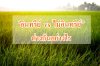 อินทรีย์ VS ไม่อินทรีย์แตกต่างกันอย่างไร อินทรีย์ VS ไม่อินทรีย์แตกต่างกันอย่างไร