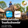 UPDATE: Registrierung für "Thai Tiew Thai Plus" soll am 1. Oktober über die "Paotang"-App starten –