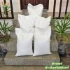 เมล็ดพันธุ์อินทรีย์ เมล็ดพันธุ์อินทรีย์