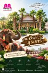 มาเที่ยวงานช้างสุรินทร์ทั้งที พักที่ “โรงแรมมาติน่า” มาเที่ยวงานช้างสุรินทร์ทั้งที พักที่ “โรงแรมมาติน่า”