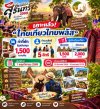 ไทยเที่ยวไทยพลัส