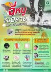 โรคฉี่หนู โรคฉี่หนู