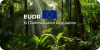 What is EUDR and How Does It Impact Thailand's Rubber Industry? What is EUDR and How Does It Impact Thailand's Rubber Industry?