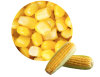 Frozen Sweet Corn Kernel