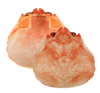 Crab Shell