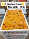 B Grade Yellow Maruichi