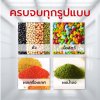 เครื่องบรรจุแนวตั้ง รุ่น HXL-K100 ( บรรจุผง หรือ เม็ด )