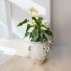 Flower pot กระถางดินเผาทรงโอ่งมีหู 3 หู ขนาด 26 x 30 cm.