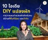 10 ไอเดีย DIY แปลงผัก 10 ไอเดีย DIY แปลงผัก