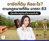อายัดที่ดิน คืออะไร อายัดที่ดิน คืออะไร