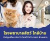 5 Animal Hospital Locations Near You for Pet Lovers