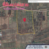 Beautiful land for sale Mueang Chiang Mai District Near Chiang Mai Rop Mueang Road, 12 rai.