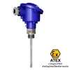Intrinsically Safe Resistance Temperature Probe   -40 - 550°C Probe วัดอุณหภูมิแบบ Resistance รุ่น SCR100-Exi