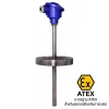 Resistance Temperature Probe   -40 - 550°C Probe วัดอุณหภูมิแบบ Resistance พร้อมหน้าแปลน รุ่น SCR102-Exi