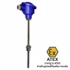 Intrinsically Safe Resistance Temperature Probe   -40 - 550°C Probe วัดอุณหภูมิแบบความต้านทาน รุ่น SCR103-Exi