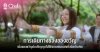 ปริญญา