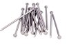 BULK common  nails