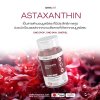 onepiel astaxanthin วันพีลแอสต้าแซนธิน