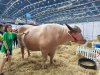 Farm Expo 2024 Farm Expo 2024