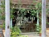 Little Tree Grocery ความเรียบง่ายที่เบาหัวใจ