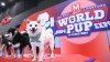 THE MALL LIFESTORE WORLD PUP EXPO 2024 มหกรรมความสนุกสุดยิ่งใหญ่ของชาวสี่ขา THE MALL LIFESTORE WORLD PUP EXPO 2024 มหกรรมความสนุกสุดยิ่งใหญ่ของชาวสี่ขา