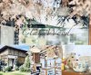 CLAY  WOOD คาเฟ่ในซอยศรีนครินทร์ 11 บรรยากาศบ้านสวนที่ดูอบอุ่น