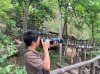 Basic Wildlife Photography