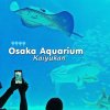 ญี่ปุ่น-Osaka Aquarium Kaiyukan