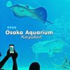 ญี่ปุ่น-Osaka Aquarium Kaiyukan ญี่ปุ่น-Osaka Aquarium Kaiyukan