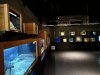 พิพิธภัณฑ์ Kaiyodo Figure Museum  พิพิธภัณฑ์ Kaiyodo Figure Museum