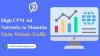 Best High CPM Ad Networks to Monetize Niche Website Traffic