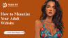 From Views to Revenue: How to Monetize Your Adult Website