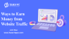 Top 7 Ways to Earn Money from Website Traffic Fast!
