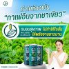 ทำไมต้อง "กาเฟอีนธรรมชาติจากชาเขียว" ทำไมต้อง "กาเฟอีนธรรมชาติจากชาเขียว"