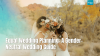 LGBTQ+ Couples