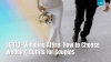 LGBTQ+ Couples
