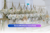 Thai Wedding