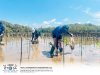 FGL Think &amp; Do for Sustainable World : Join Forces to Plant Mangrove