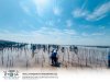 FGL Think &amp; Do for Sustainable World : Join Forces to Plant Mangrove