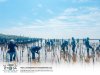 FGL Think &amp; Do for Sustainable World : Join Forces to Plant Mangrove