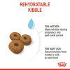 Royal Canin แม็กซี่ แม่สุนัขตั้งท้องและให้นมลูก สุนัขพันธุ์ใหญ่ 4 Kg.