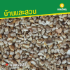 รหัสสินค้า : 8013010 กรวดทะเลสีเทา