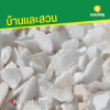 รหัสสินค้า : 8013011 หินกรวดคัดสีขาว