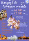 6D5N Bangkok & Northern Thailand Budget Tour Package