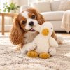 Bella Bird (All For Paws Titan) ของเล่นสุนัขตุ๊กตานก (AFPDT3511)