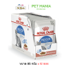 (12ซอง) Royal Canin Indoor Sterilised Gravy อาหารแมวแบบเปียก สำหรับแมวโต 1-10 ปี เลี้ยงในบ้าน ที่ทำหมันแล้ว