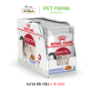 Royal Canin Instinctive Jelly Pouch โรยัลคานิน อาหารเปียกแมวโตในเยลลี่ สำหรับแมวโต อายุ1 - 10ปี ขนาด 85 g.[ยกกล่อง12]