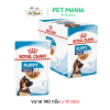 Royal Canin Maxi Puppy Pouch อาหารลูกเปียกสุนัข สำหรับลูกสุนัขพันธุ์ใหญ่ อายุ 2-15 เดือน ขนาด 140 กรัม [ยกกล่อง 10 ซอง]