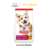 Hill's® Science Diet® Adult Small Bites อาหารสุนัขสำหรับสุนัขโตเต็มวัยอายุ 1-6 ปี ขนาด 12 kg.